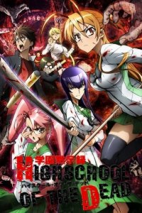 Highschool of the Dead Cover, Poster, Highschool of the Dead