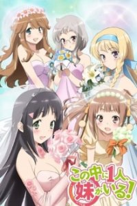 Cover Nakaimo - My Little Sister Is Among Them!, Nakaimo - My Little Sister Is Among Them!