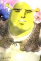 Shrek_senpai