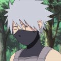 User Kakashi-san, Profilbild