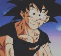 Shiguma_Goku, Profilbild, Foto, Avatar