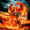 Profilbild Phoenixwarrior, Avatar