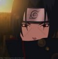 Sasukey Avatar, Sasukey Profilbild